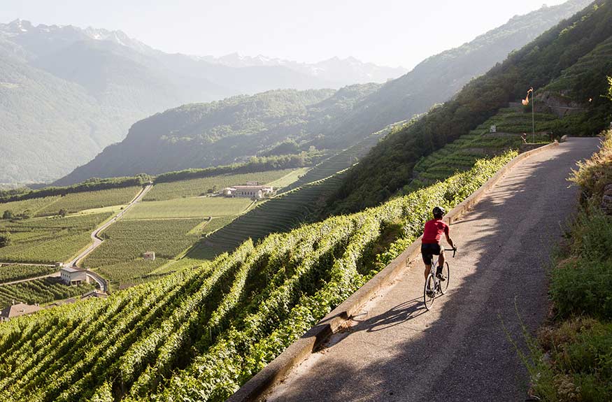 Riding the wine road