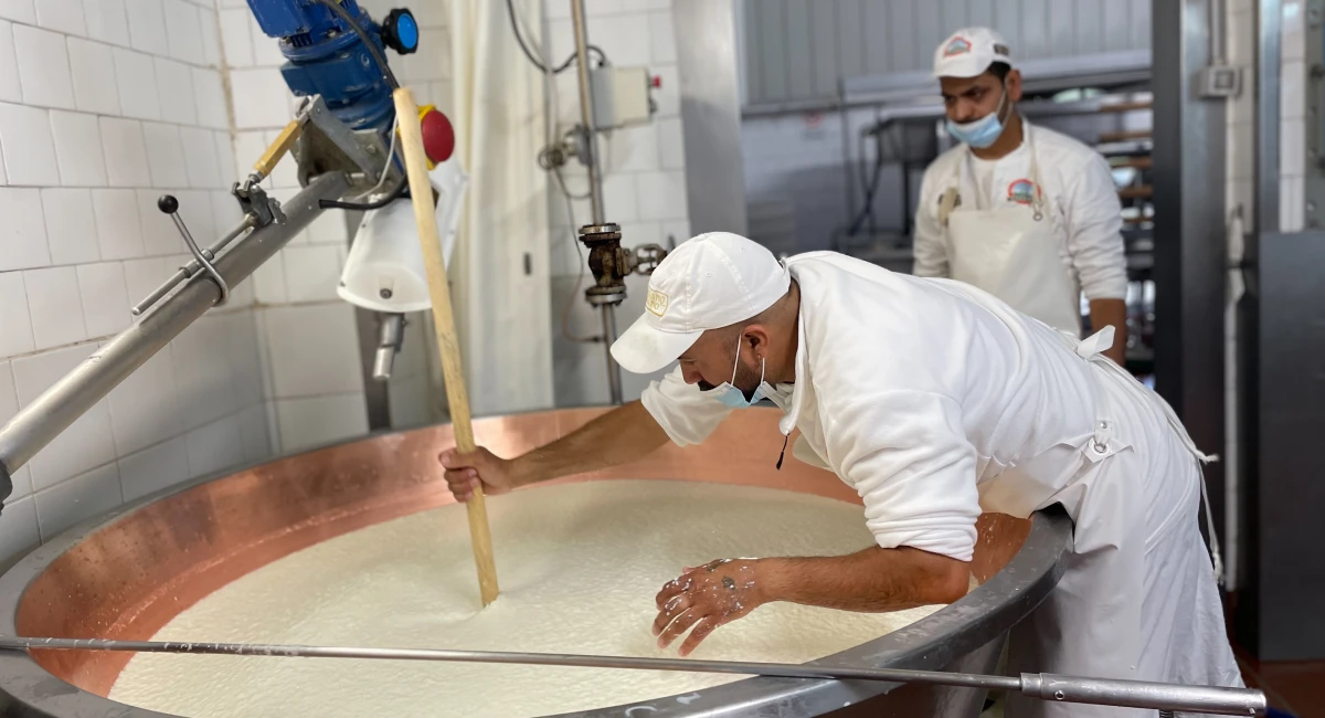 Cheesemaker at work in a Parmigiano Reggiano factory near Parma