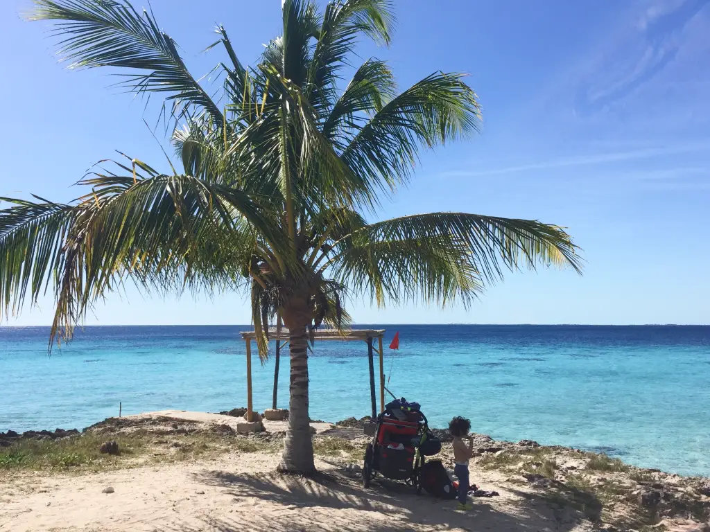 Beach stop under a palm tree with a bike trailer and turquoise Caribbean Sea