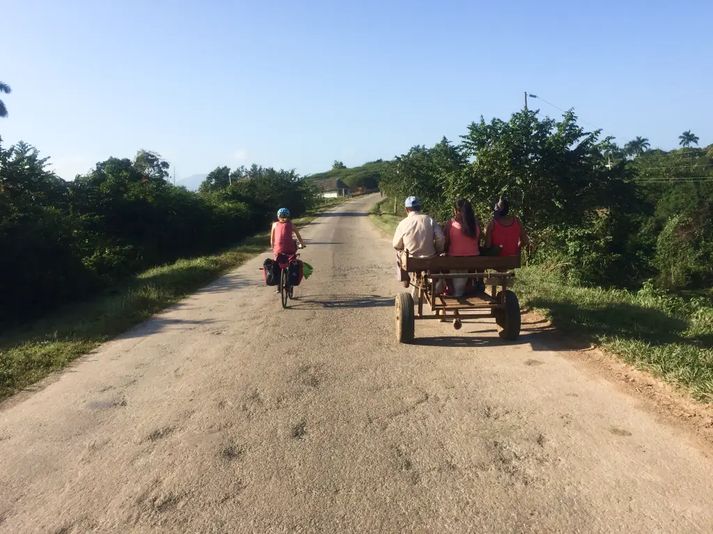 Cyclist overtaking a horse cart on a rural Cuban road